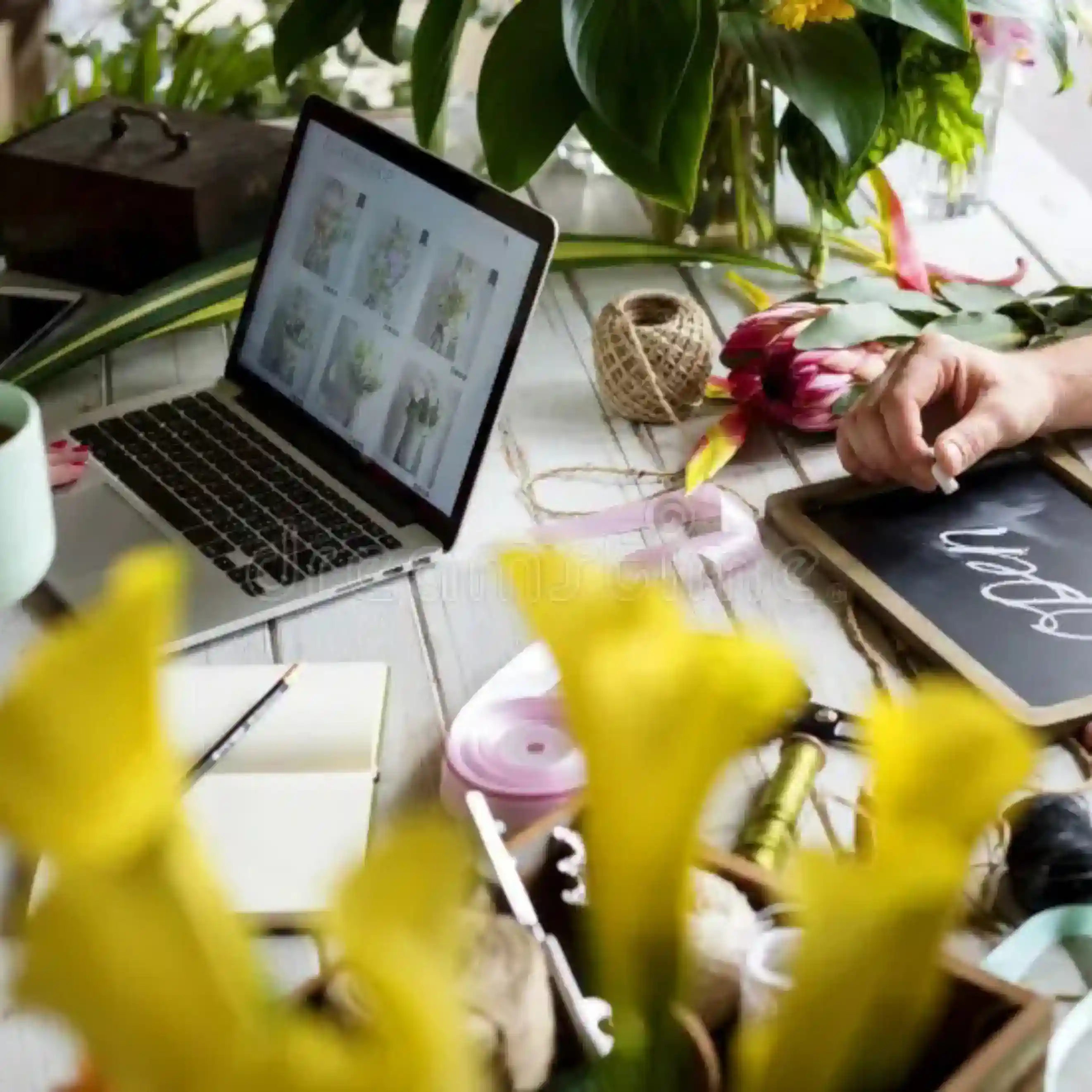 Top Florist Digital Marketing Dubai | Finance Marketing Experts | Adwhs