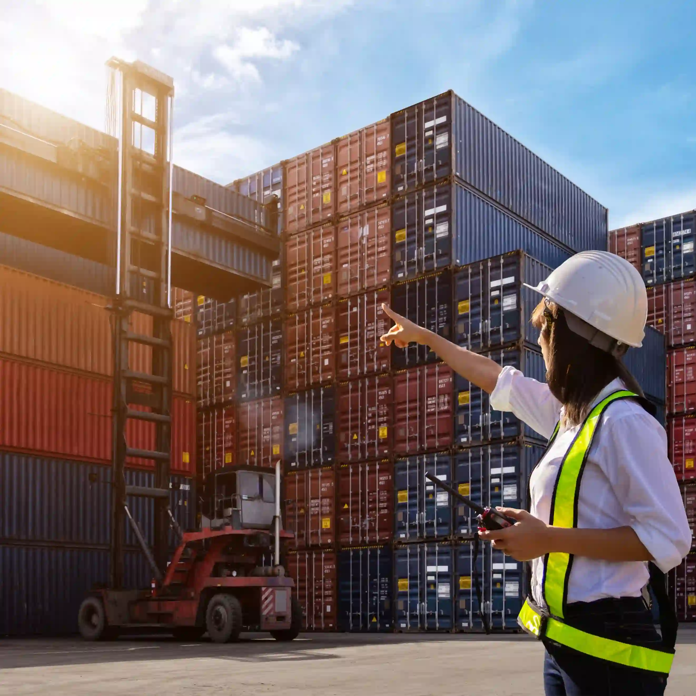 Expert Import & Export Digital Marketing | Adwhs  Solutions Dubai