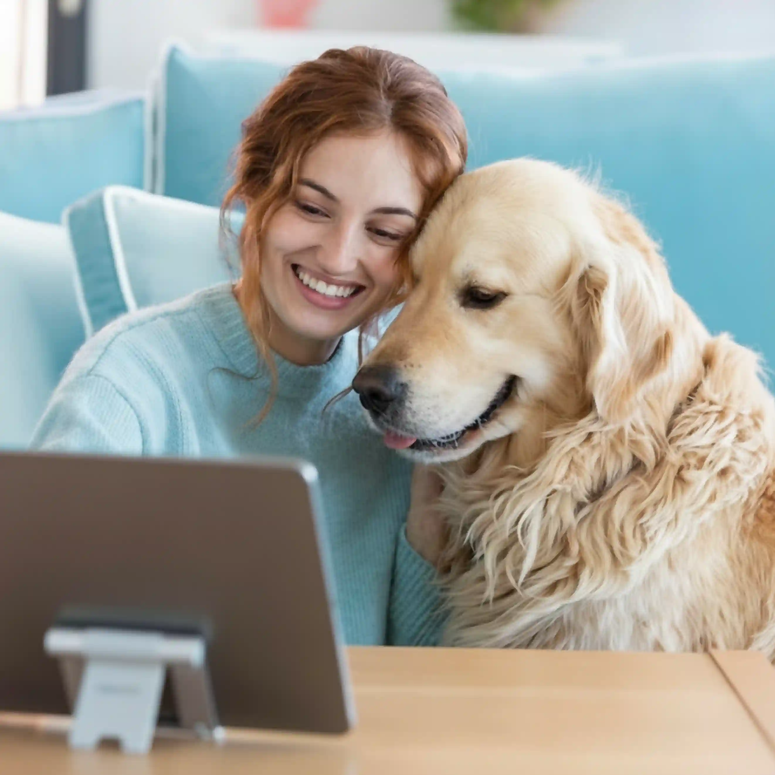 Build Your Pet Brand Online with Social Media Experts in Dubai - Adwhs Solutions